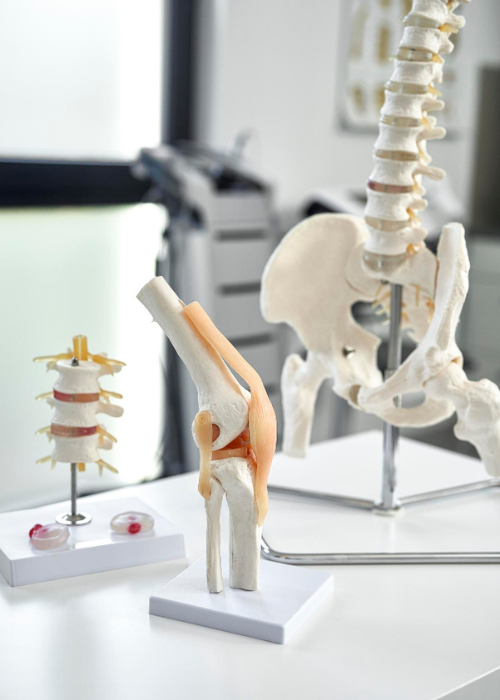 Cuanto cuesta una consulta de Vertebroplastia y Cifoplastia en Naucalpan Estado de México